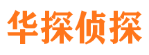 桂东市调查公司